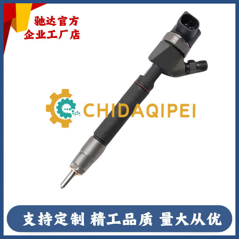 0445110295 Common Rail Injector A6460701287 0 445 110 295 Is Suitable for Mercedes