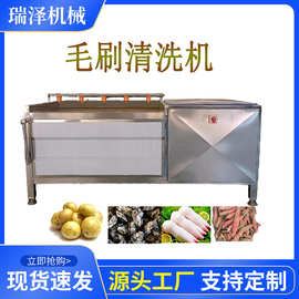 不锈钢莴苣去皮清洗机 商用土豆清洗机 胡萝卜U型毛刷清洗机