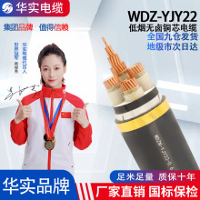 ��h�F؛�͟��o�u��ȼ�͉���|WDZ-YJY22���˼��~늾������Ŀ