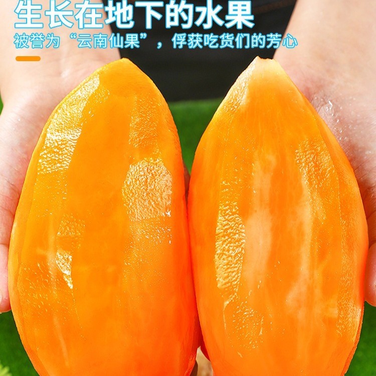 Tian Shan snow lotus fruit 12jin fresh fruit seasonal Yunnan pregnant red heart snow lotus yellow heart whole box direct sale