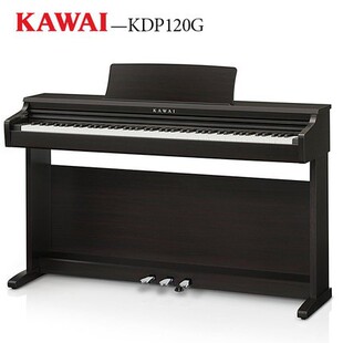 ���l������KDP120���N88�I���������W�����T������ӌ��I����