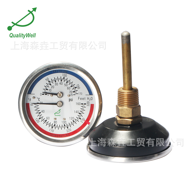 压力表带温度计 温度压力仪 80mm轴向水高计 WHT-6