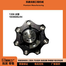 DT530水泵 适用于纳维斯塔DT530 帕金斯1306 发动机 柴油机
