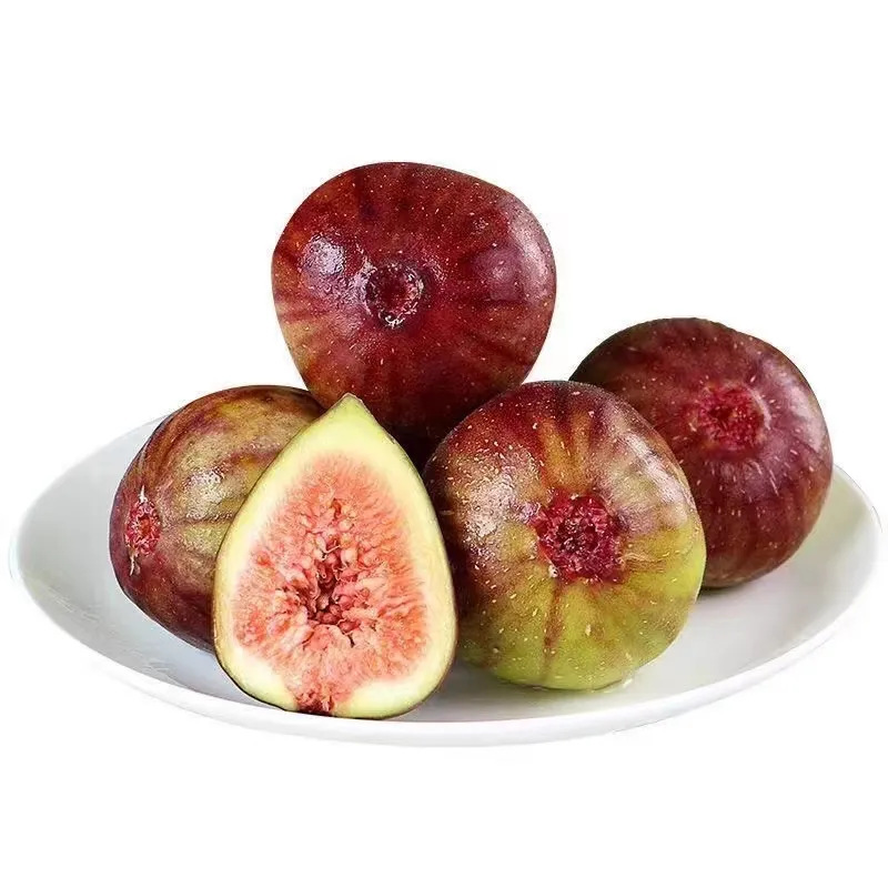 Sichuan Fresh Figs, Whole Fruit, Free Shipping, Seasonal Figs, One-Piece Dropshipping Sichuan Fresh Figs, Whole Fruit, Free Shipping, Seasonal Figs, One-Piece Dropshipping