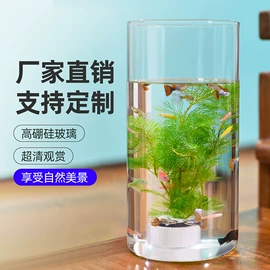 收纳密封罐;密封盒储物罐;玻璃杯