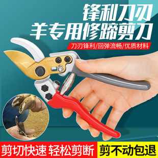 �����޼�����ţ����������F���_ֺ�����Q���P�ָ�׼����Bֳ��е