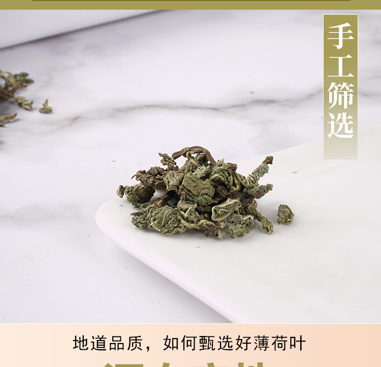 Mint Leaf Tea (Mentha haplocalyx) — Dried Mint Herbal Tea, 75g Jar for Cold Brew & Fresh Infusions specifications