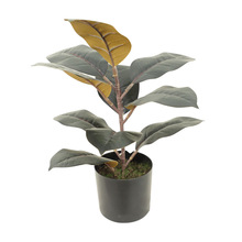 ���|��Ƥ�����Ը߷���Ƶ�͏d������������̨���������҃��b�