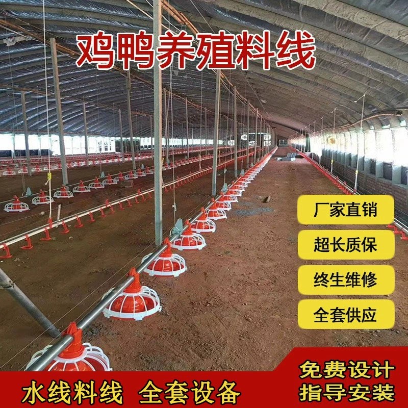 自动喂料养鸡设备饲料颗粒自动投料机器料线水线鸡舍养殖喂料设备
