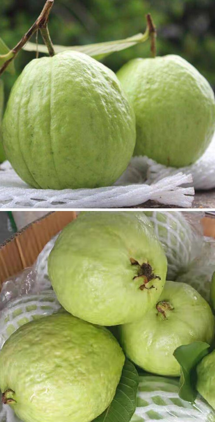 12b07e77-7332-4b47-ad75-d8058d8ae4ed.jpe