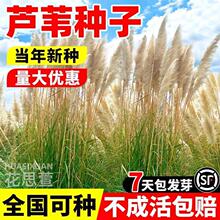 �JȔ�N��ˮ���ݷN���ͺ��������޸����у���ˮ�|�o�¹������ݷN��