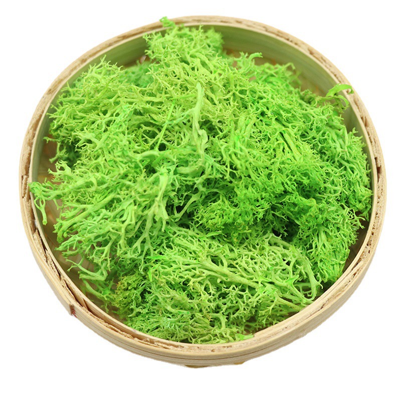 Fluorescent green 10G