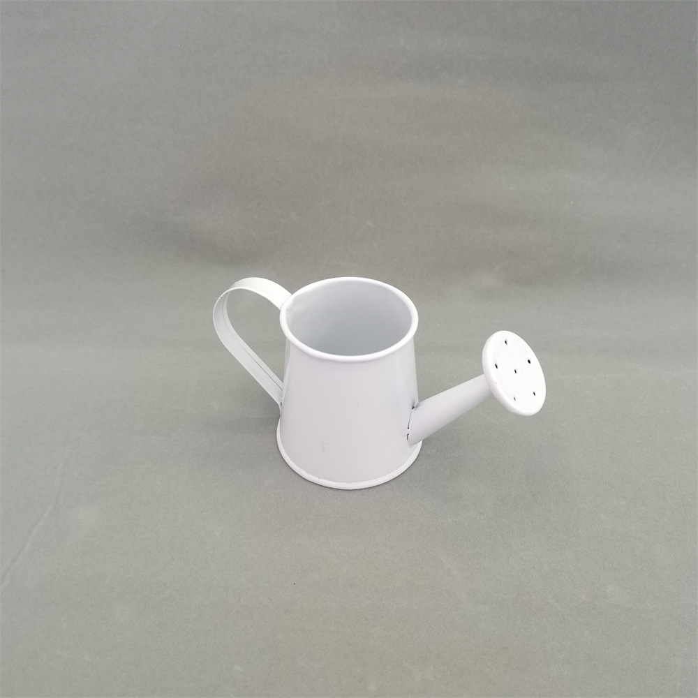 QQ图片20240516102042