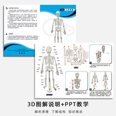 Science experiment primary school students toys science and technology small production early teaching aids educational education human skeleton steam wholesale