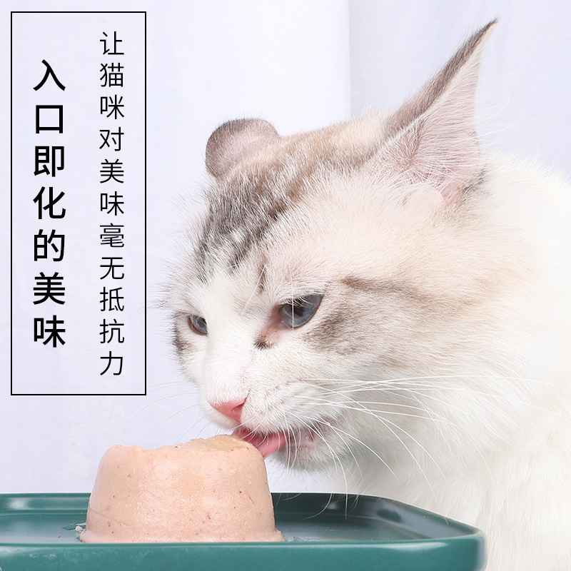 Booker cat snack mousse taza 70g al por mayor spot para gatos adultos y jóvenes suplementos de nutrición para gatos alimento húmedo para gatos alimento para mascotas snack