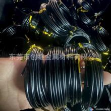 �@ˇ�X�� �辰��ɫ���b�� �������ͱP���X�� �S��ֱ�N�����L��