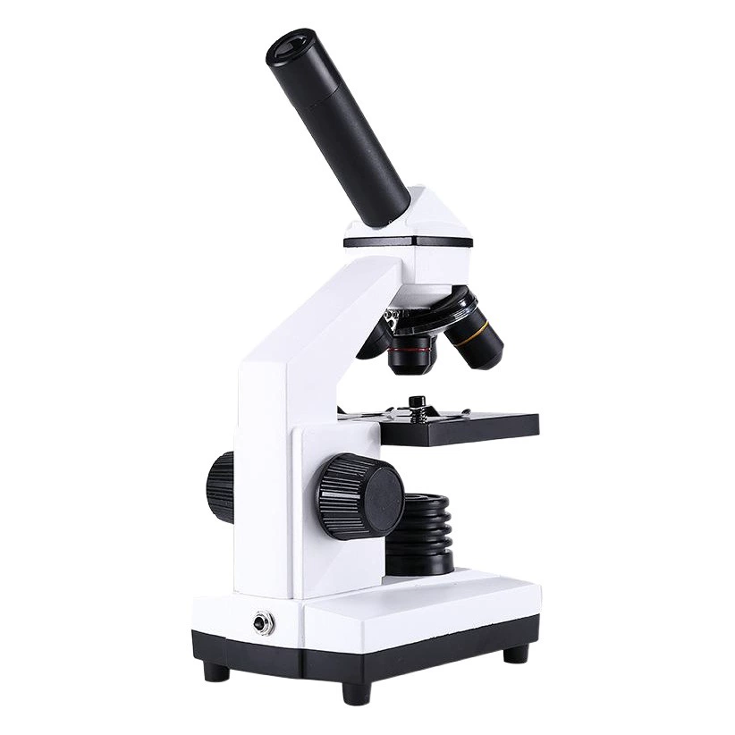 Микроскоп трансграничный 2000x, монокулярный, с прямой трубкой, с предметной стеклянной палочкой, оптический микроскоп, обучающая игрушка для занятий по биологии