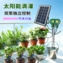 太阳能自动滴灌植物浇花器