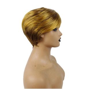 Cross-border foreign trade wig female European and American fashion short hair oblique bangs chemical fiber full head cover Amazon supply manufacturers wholesale
