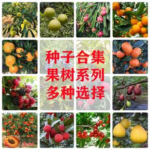 ����N�ӻ����N�Ӹ������Ӱ���������ٙ��ҙ��ʗ���N���ļ�ͥԺ