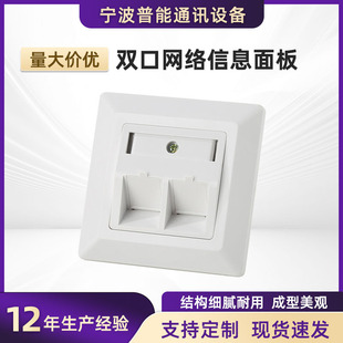 in stock Wholesale Single/Double Port Shielding Panel Single/Double Port Network Information Panel
