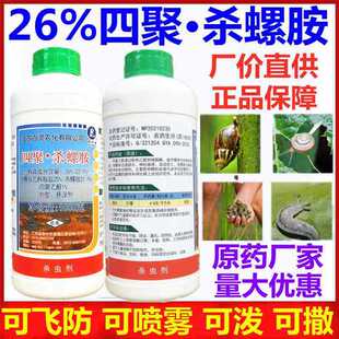 26%�ľ���ȩ���ݰ������ݳ�΁ţ�ݽz�����x΁ţܛ�w�x��ݚ��x��