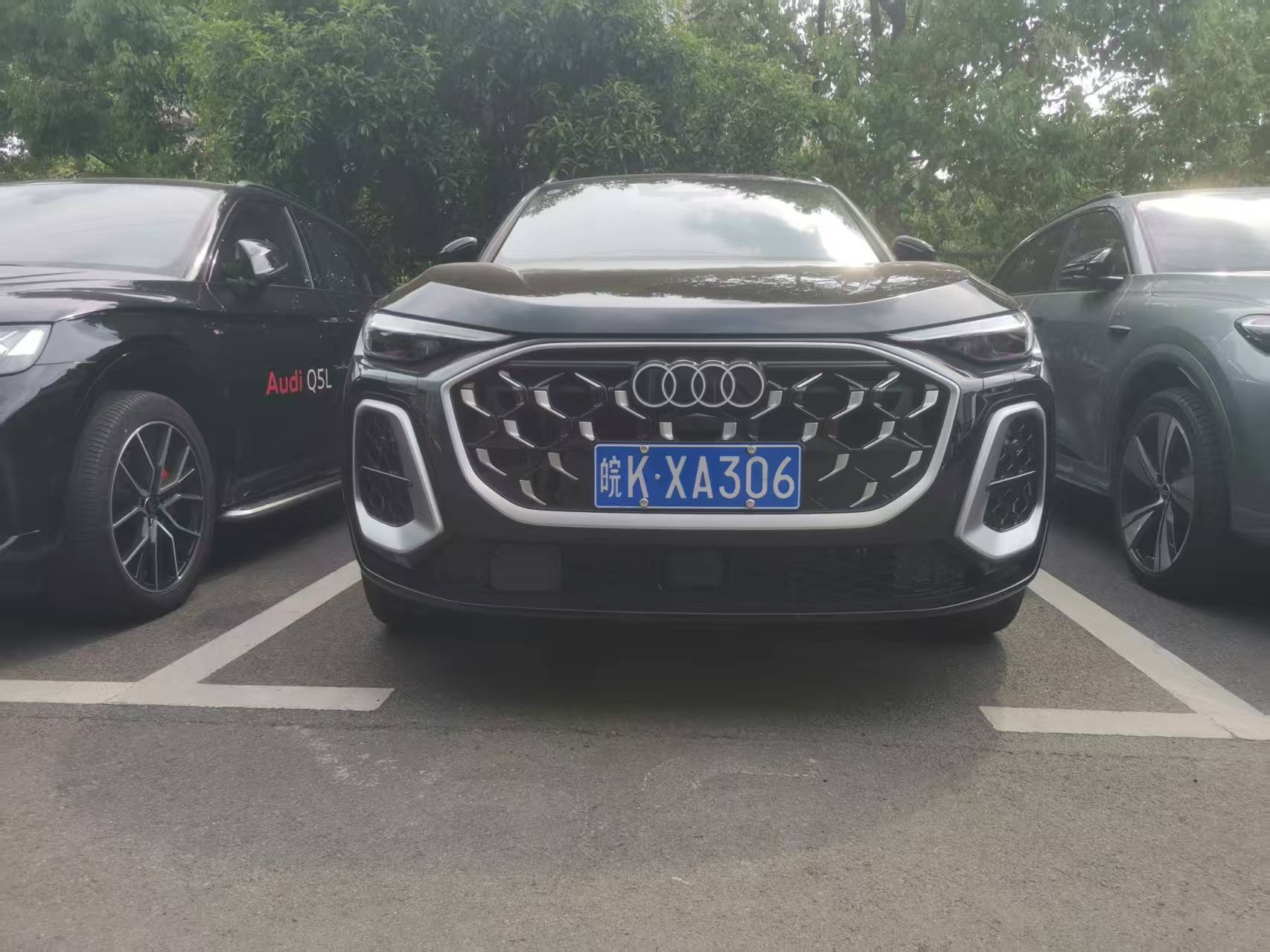 Suitable for 26 models of Audi Q5L, anti-insect net for the front grille and radiator protection, dust-proof net, made of ABS and stainless steel