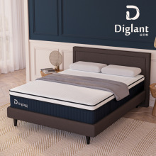 Diglant���|���s�������þƵ�ϯ��˼ӛ���ު����������z�p�˴�