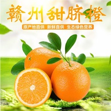 江西正宗赣南脐橙维C水果应季整箱10斤20礼盒装橙子批发香甜甜橙