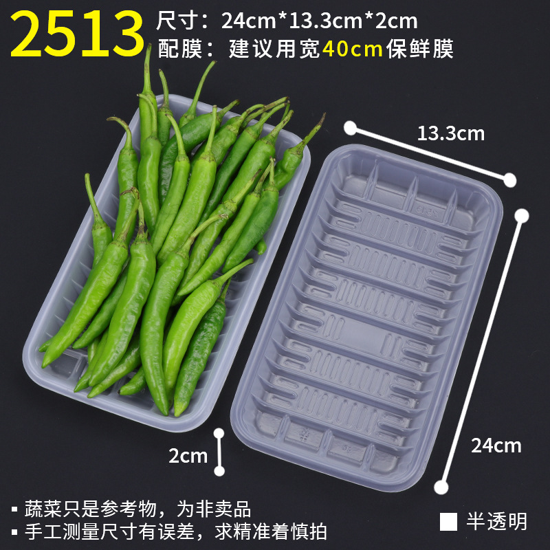 2513 translucent [100]