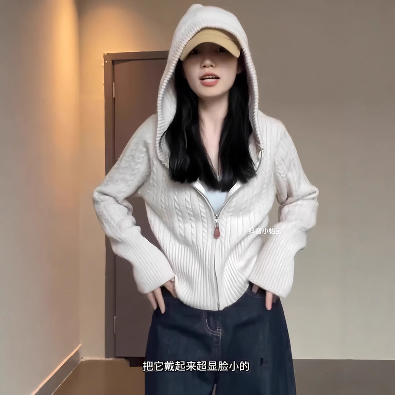Lazy Style Hooded Sweatshirt Knitted Cardigan Women's Autumn and Winter Outer Wear Soft Waxy Twist Bottoming Top Short Sweater Jacket