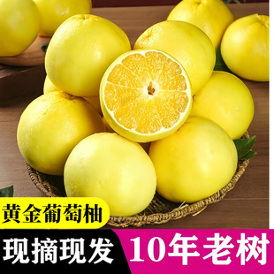 �S�����������r���������l����9�����ֱ������֭����Դ�^�F؛