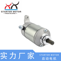 31 100-19f 00 31-19f 10起動モーターはSuzuki dl 650sv650 99-10に適用します。