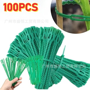 �羳13cm/17cm�Gɫ�~�������@ˇֲ�����ٻ���ľ���z�̶���������