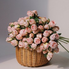 7�^�͹ſ�߅õ�廨���滨��õ��ٻ�������������[���Ҿ��b�
