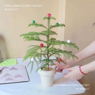 ������Ů��ɼ������������ɼ�}�Q��ƽ�����B�k���ҿ͏d�bGֲ