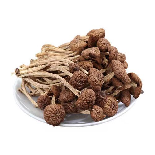 【Direct from Base】Gutian Button Mushroom Dried Shredded Wholesale 500g Direct from Origin