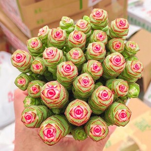 �X�������Զ���ֲ����ؔ���^�X�����҃�����Gֲ��Ʒ�����̖�Ϙ�