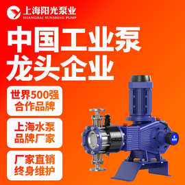 DY-ZR型液压隔膜式计量泵 隔膜计量泵厂家加药计量泵膜片计量泵