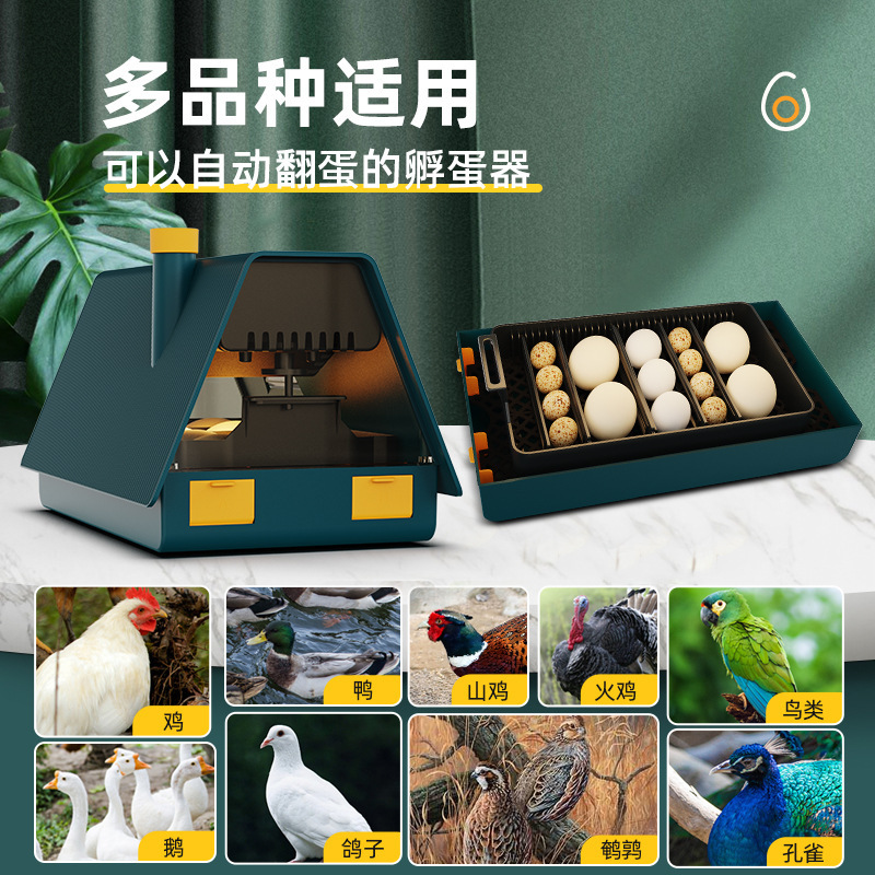 包邮家用孵蛋器小型小房子造型自动翻蛋可孵芦丁鸡鹦鹉等带照蛋功