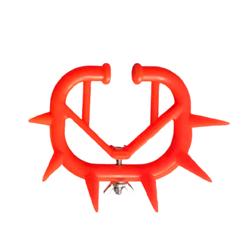 Espina de nariz de toro rojo