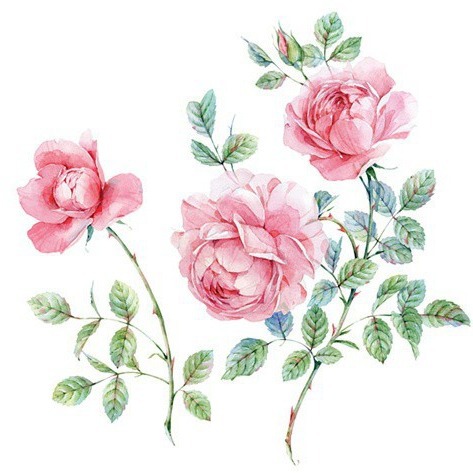 Bolsa de cremallera PE transparente espesada tamaño especial 23x24cm25x27cm