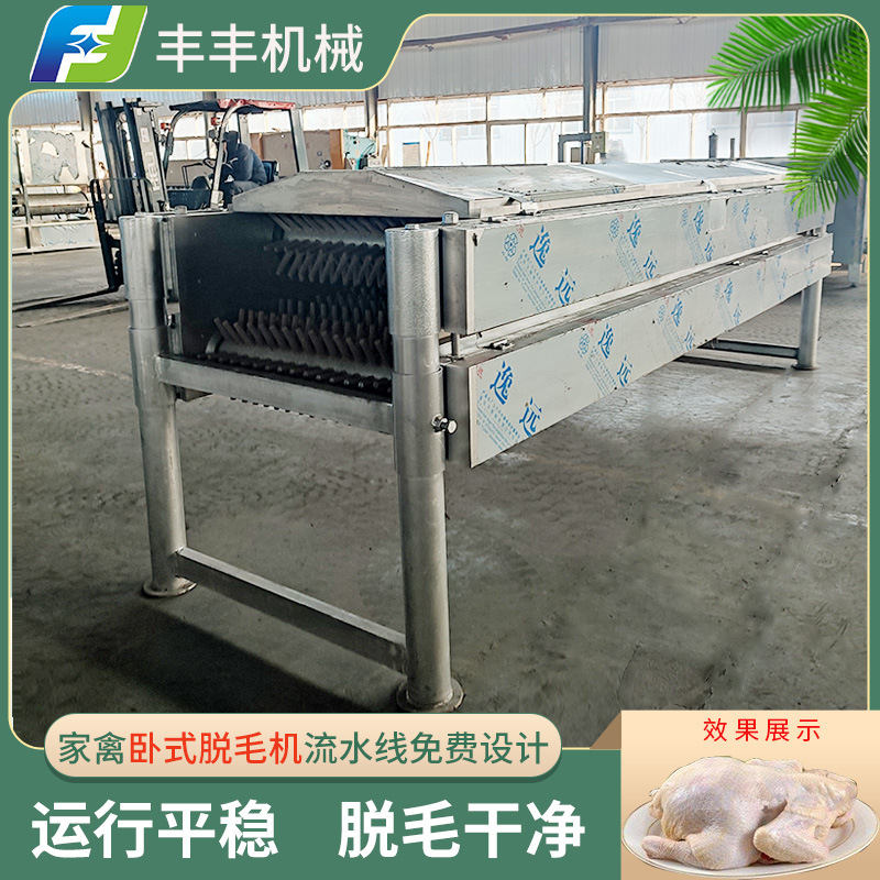 鸡鸭鹅大型脱毛机 禽类腿毛卧式脱毛机 鸽子大型流水线卧式脱毛机
