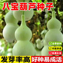 ˌJNشJNС̖СJN^pͥԺ