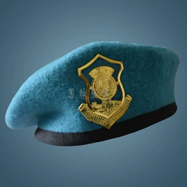 工作帽;袖章;成人帽