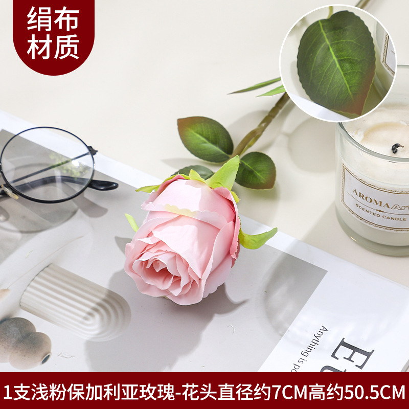 단두 불가리아 1가지 - 라이트 핑크