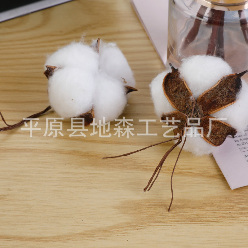 Cotton dried flowers cotton bouquet simulated cotton dried flowers DIY Xinjiang cotton Christmas bouquet simulated cotton head