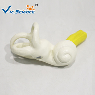 ���w��Ĥ����ģ�� ���Y���̌Wģ�� ���Ǻ����t����ͨ��ʾ�̾�