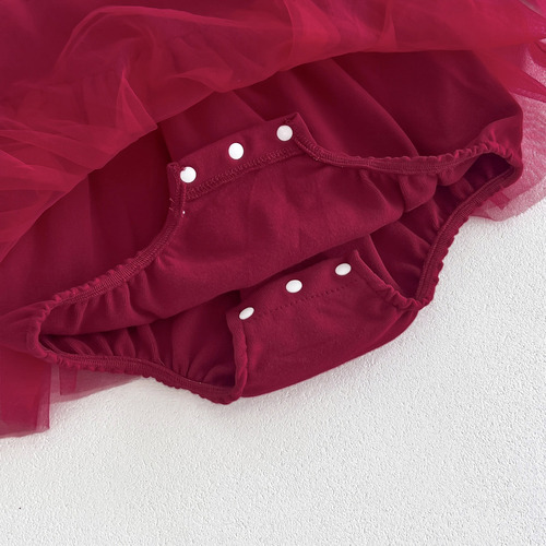 Baby mini skirt, spring and autumn full moon clothes, red 100-day banquet dress, newborn princess dress, baby fart dress