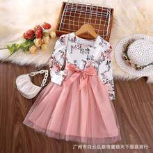 Floral print long-sleeved dress for girlsŮͯӡLB